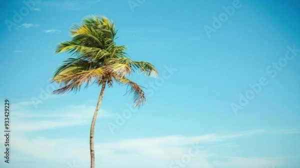 Fototapeta A solitary palm tree swaying gently in the breeze, its fronds rustling like whispers against the backdrop of a clear blue sky.