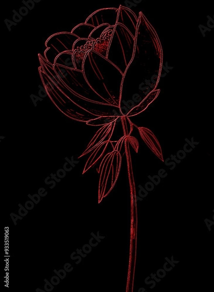 Obraz Red flower isolated on black background. Vector illustration.