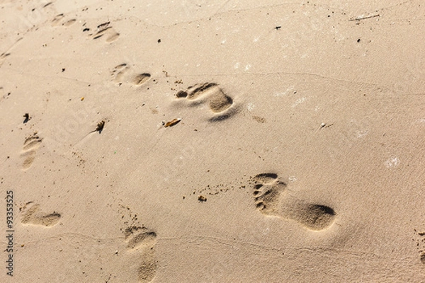 Obraz Steps in the sand
