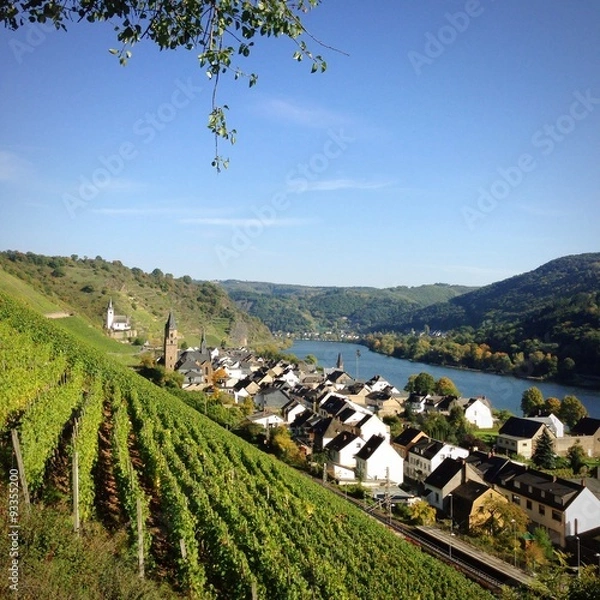 Obraz mosel