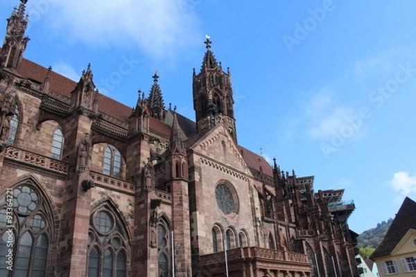 Fototapeta Freiburger Münster
