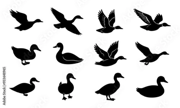 Fototapeta Set of duck silhouette vector illustration