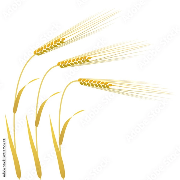 Obraz Three barley stalks with golden ears