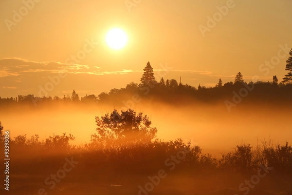Fototapeta Wschód słońca