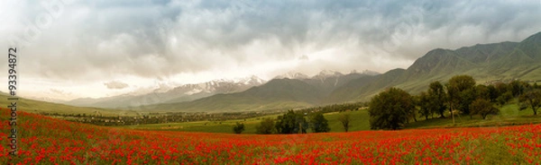 Obraz Panoramic mountain landscape