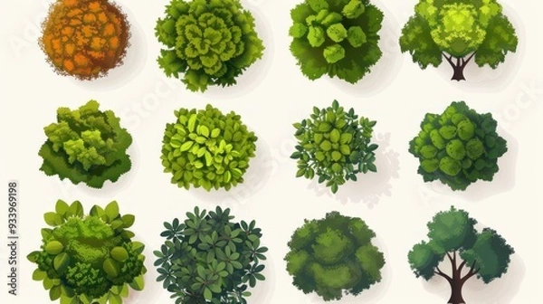 Fototapeta Top View of Tree Crowns in Green and Yellow Colors