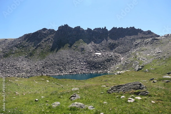 Obraz sheep in the mountains