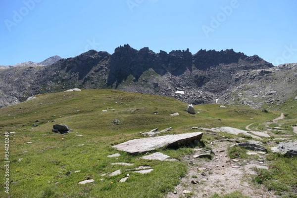 Obraz alpine meadow in the mountains