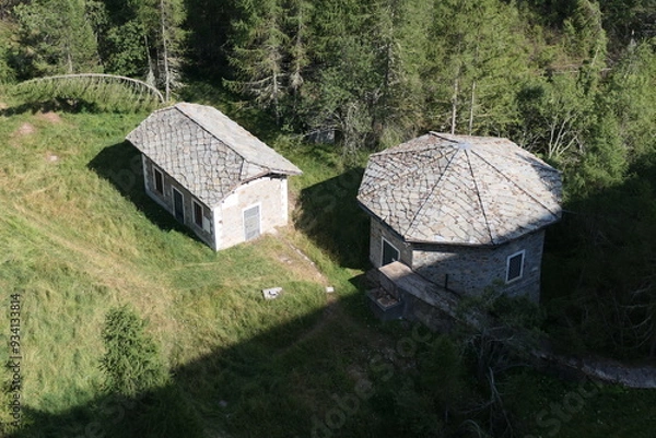 Obraz old house in the woods