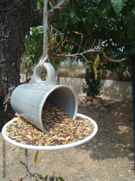 Obraz Handmade Cup and Saucer Bird Feeder