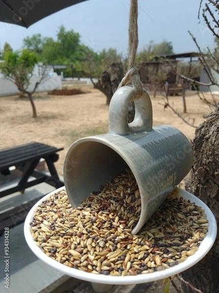 Obraz Handmade Cup and Saucer Bird Feeder