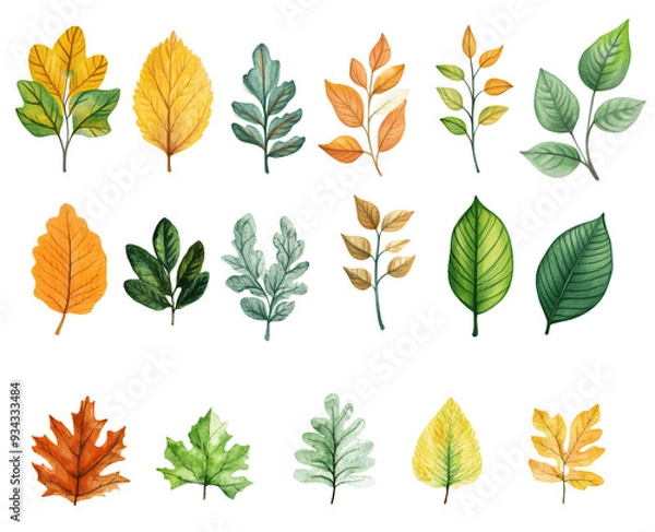 Fototapeta Autumn watercolor tree leaves on a transparent background, Generative AI.