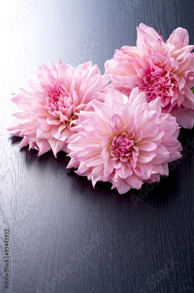 Fototapeta 和風素材