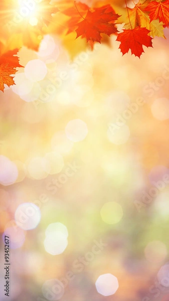 Obraz Autumnal fall in the forest, abstract environmental backgrounds