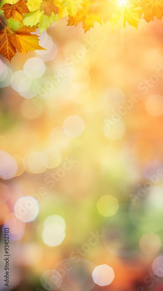 Fototapeta Autumnal fall in the forest, abstract environmental backgrounds