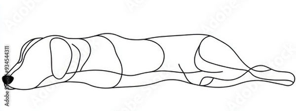Obraz Dog line one art outline continuous pet puppy animal silhouette. Line illustration one dog drawing abstract dachshund happy sketch icon doodle simple shape white cute logo toy labrador background.