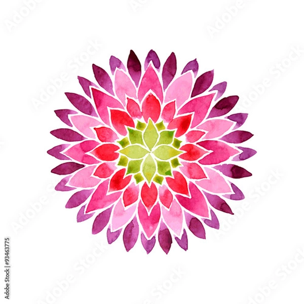Fototapeta Flower mandala pink and purple colored