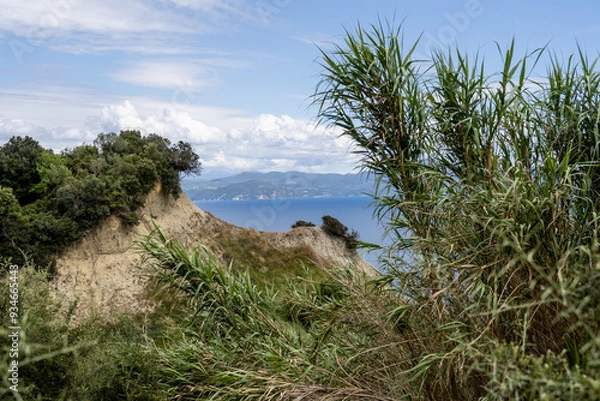 Fototapeta Tall grass and shrubs overlooking the sea on the Island of Corfu in Greece.
