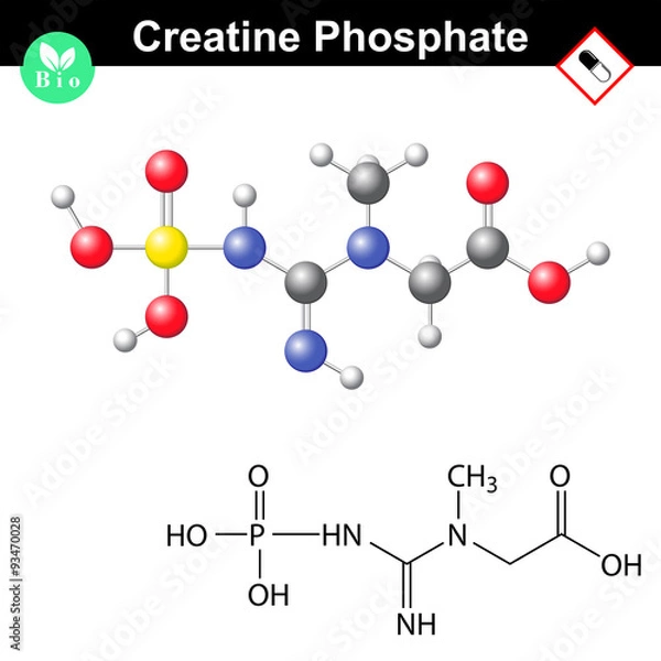 Fototapeta Creatine phosphate molecular structure