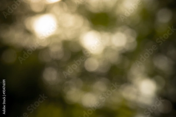 Fototapeta Defocused bokeh blur  of golden sunlight and shadow background