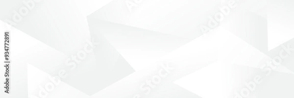 Obraz Abstract white Geometric banner design background.
