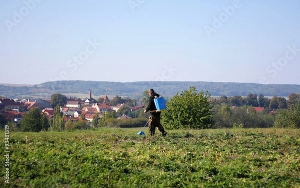 Obraz Man with hand sprayer on the back