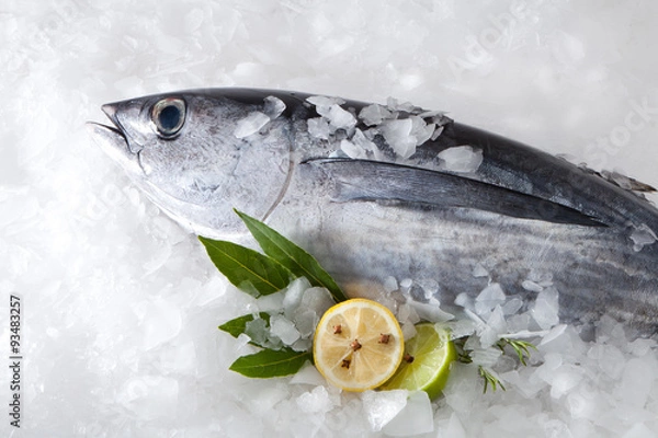 Obraz Ryba Albacore (Tunnus Alalunga)