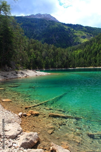 Fototapeta Hiedleswald