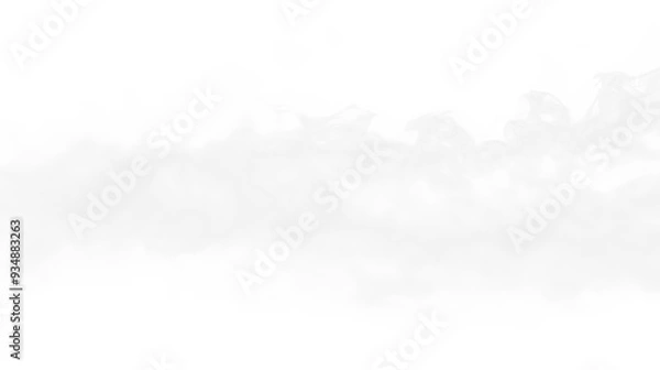 Obraz White fog isolated