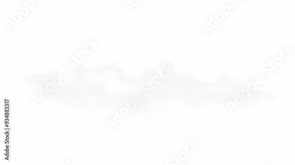 Obraz White mist isolated