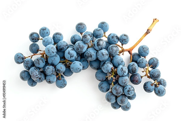 Obraz Black grapes, large fresh fruits with green leaves on a white background