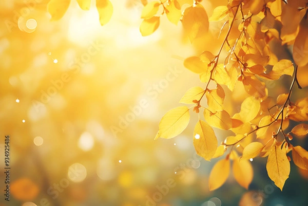 Obraz Autumn natural bokeh background with yellow leaves and golden sun lights, fall nature landscape