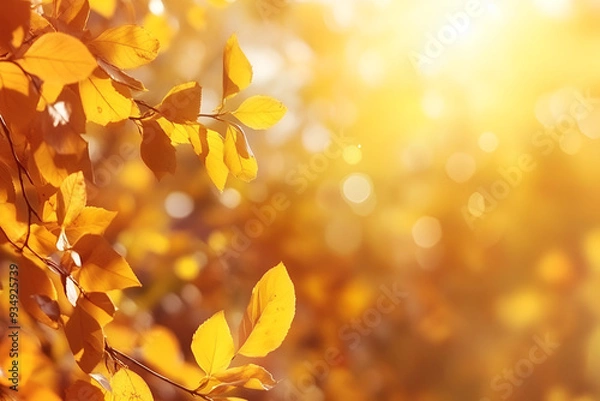 Obraz Sunlight glowing on golden yellow autumn leaves on a branch with a blurred background. 