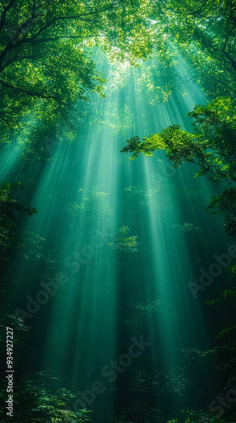 Fototapeta Sunlight Streaming Through Dense Tree Canopy in Lush Forest, Nature Landscape with Sun Rays, Serene Woodland Scene, Tranquil Forest Atmosphere