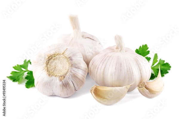 Fototapeta garlic with parsley leaves