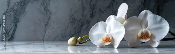 Fototapeta orchid bloom resting on a sleek marble surface, with a minimalist design and soft shadows, leaving room for text