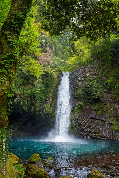 Obraz 日本の滝　浄蓮の滝