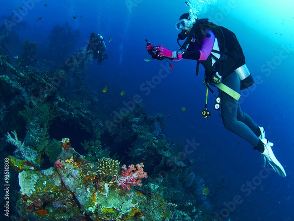 Obraz Scuba diver with coral
