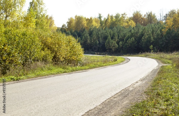 Fototapeta road in a forest