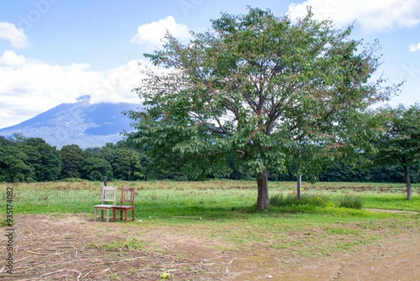 Obraz 木の下の椅子