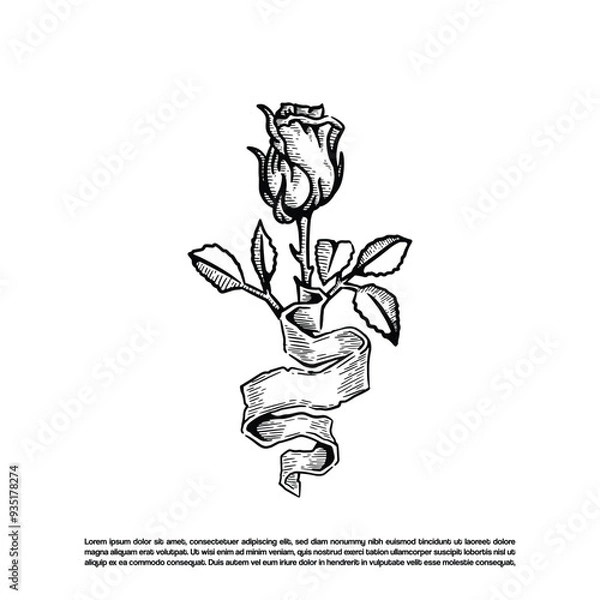 Obraz Hand drawn rose flower with ribbon vector
