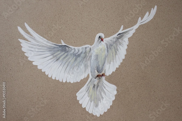 Obraz A free flying white dove