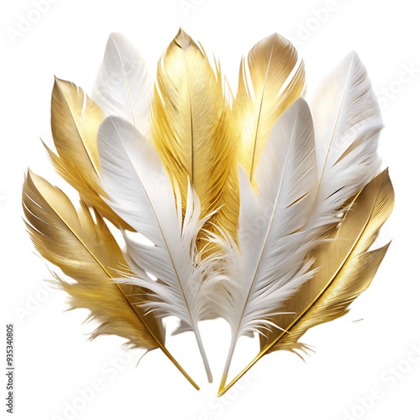 Obraz Elegant Golden and White Feathers Perfect for Decorative and Artistic Projects