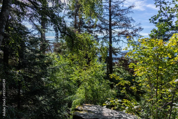 Fototapeta Felsvorsprung