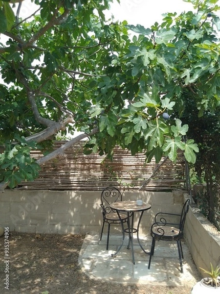Obraz Table and Chairs under Fig Tree