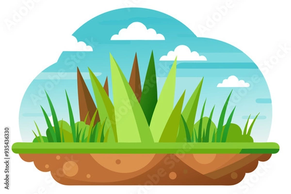 Fototapeta Green Grass Patch with Brown Soil and Blue Sky