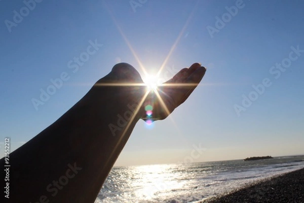 Fototapeta 太陽の光