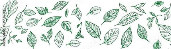 Fototapeta Green Leaf Outline Pattern, Digital Illustration, White Background, Nature, Botanical, Leaves, Pattern