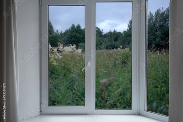 Fototapeta View from the window, green trees, landscape with forest.  