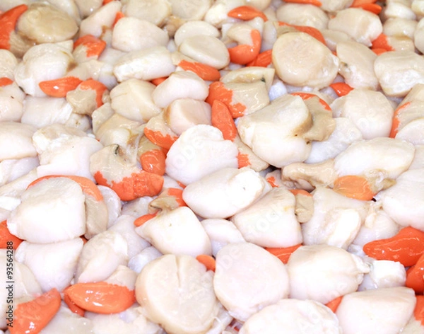 Obraz noix de saint-jacques